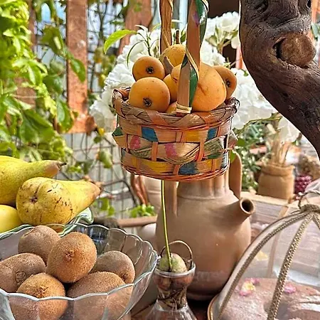 Agribarocco 4*