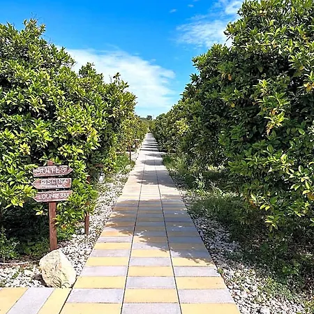 Agribarocco Szálloda 4*